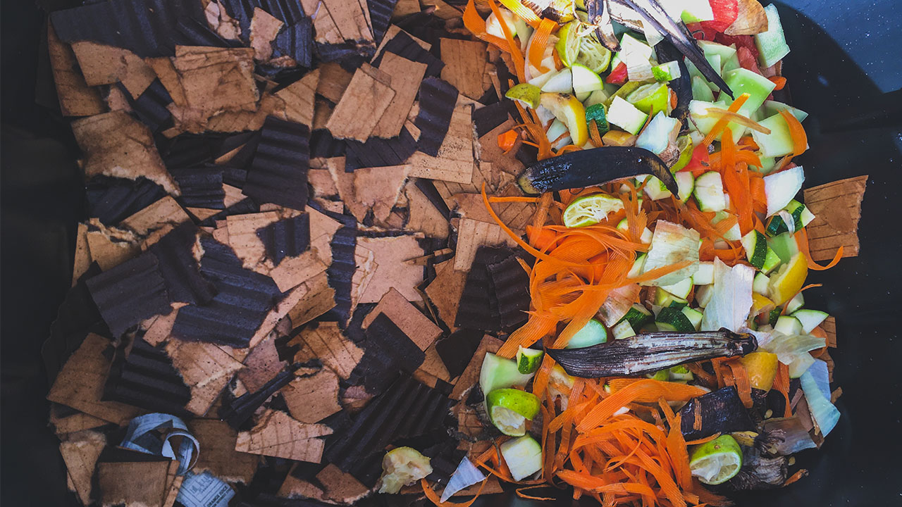 Worm bin with cardboard bedding and food scraps