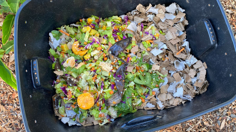 Worm box bin with bedding and worm food